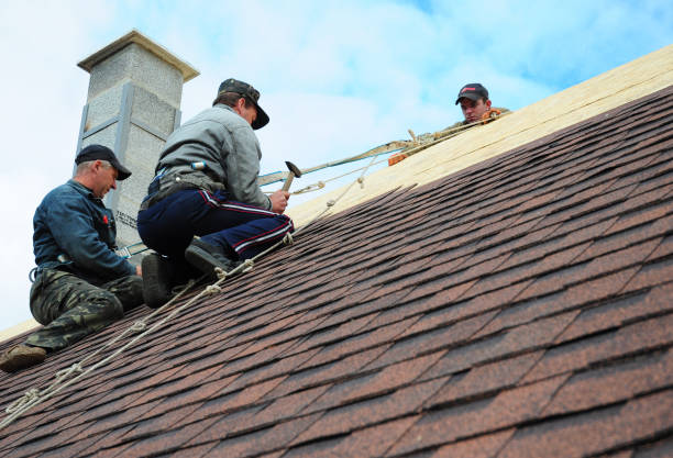 Best Roof Gutter Cleaning  in West, TX