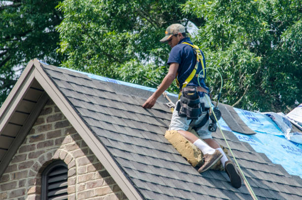 Best Roof Gutter Cleaning  in West, TX